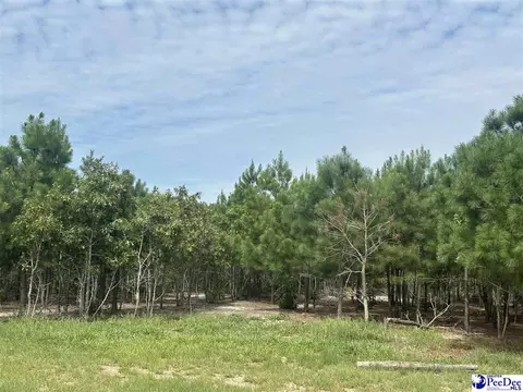 52 Scott Pond Rd, Hartsville, SC 29550 photo 4