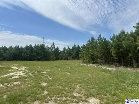 52 Scott Pond Rd, Hartsville, SC 29550 photo 20