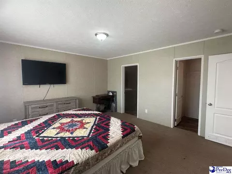52 Scott Pond Rd, Hartsville, SC 29550 photo 11