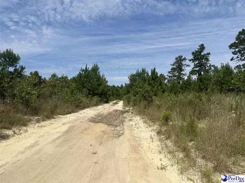 52 Scott Pond Rd, Hartsville, SC 29550 photo 5