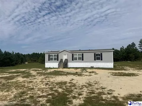52 Scott Pond Rd, Hartsville, SC 29550 photo 2