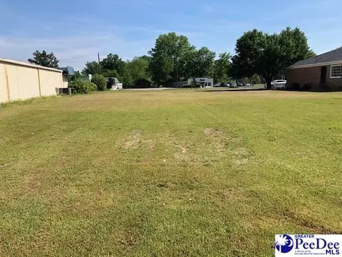 lot8 Chesterfield Hwy, Cheraw, SC 29520