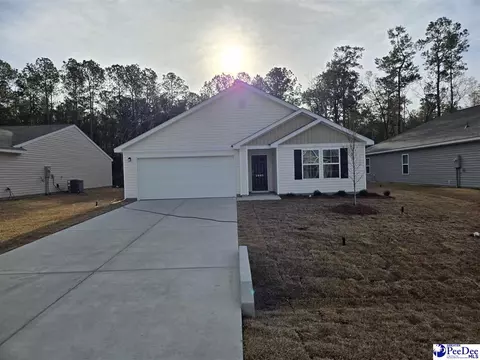 2005 E Paces Trl, Darlington, SC 29532 photo 1