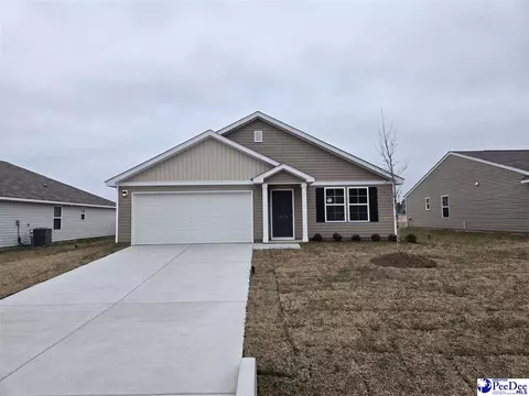 1994 E Paces Trl, Darlington, SC 29532