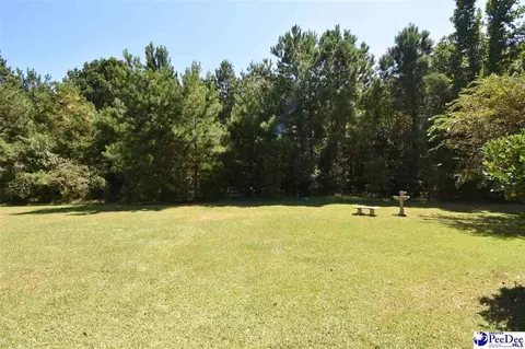 Exterior - 3116 Brookstone Dr, Effingham, SC 29541 photo 5 of 5