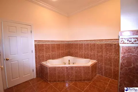 Bath - 3116 Brookstone Dr, Effingham, SC 29541 photo 2 of 4