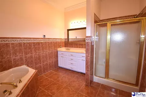 Bath - 3116 Brookstone Dr, Effingham, SC 29541 photo 1 of 4