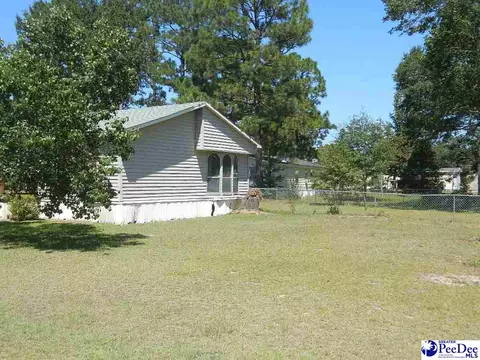 2002 Catalpa Dr, Dillon, SC 29536 photo 8