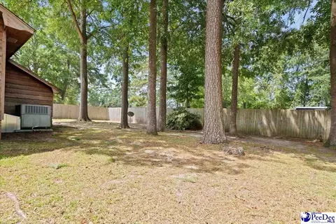 1507 N 6th Ave, Dillon, SC 29536 photo 11
