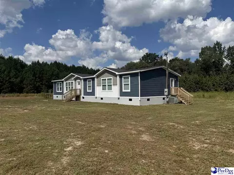 2260 Discus Ln, Effingham, SC 29541 photo 3