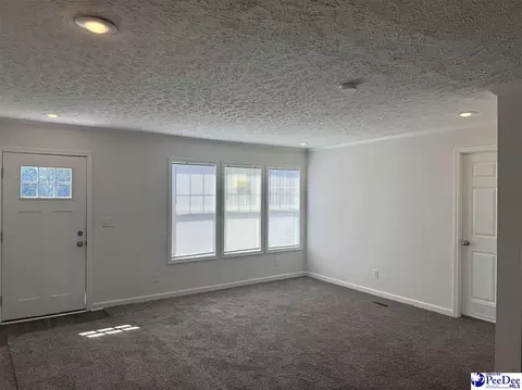 2260 Discus Ln, Effingham, SC 29541 photo 13
