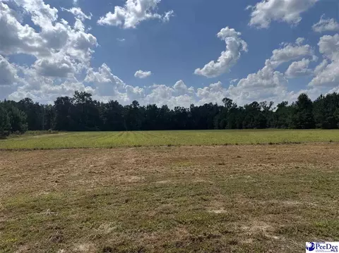 2260 Discus Ln, Effingham, SC 29541 photo 6