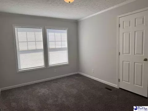 2260 Discus Ln, Effingham, SC 29541 photo 17