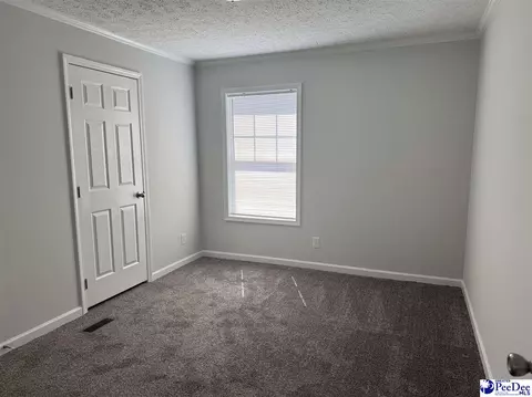 2260 Discus Ln, Effingham, SC 29541 photo 23