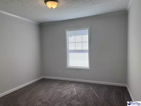 2260 Discus Ln, Effingham, SC 29541 photo 18