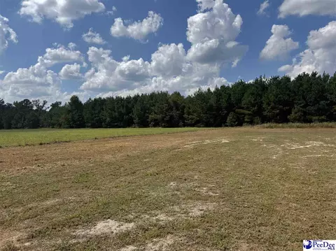2260 Discus Ln, Effingham, SC 29541 photo 4
