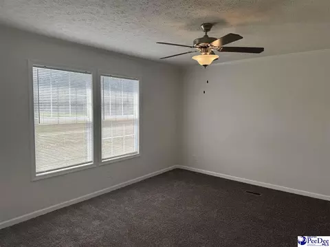 2260 Discus Ln, Effingham, SC 29541 photo 24