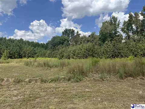 2260 Discus Ln, Effingham, SC 29541 photo 8