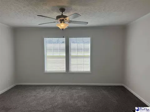 2260 Discus Ln, Effingham, SC 29541 photo 29