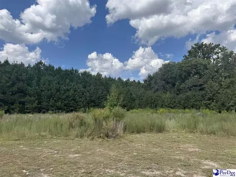 2260 Discus Ln, Effingham, SC 29541 photo 2