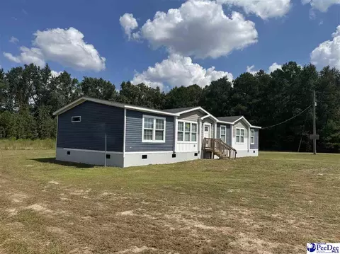 2260 Discus Ln, Effingham, SC 29541 photo 1