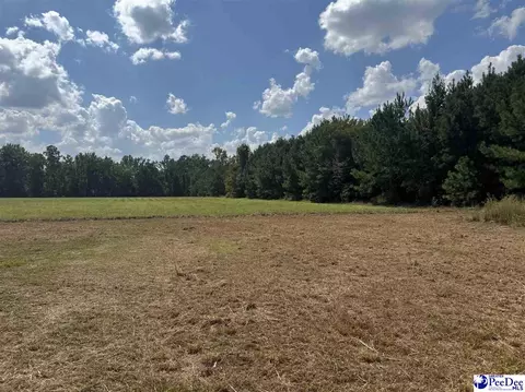 2260 Discus Ln, Effingham, SC 29541 photo 10