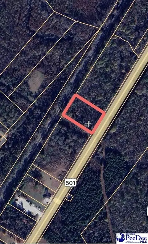 3131 S Highway 301, Dillon, SC 29536
