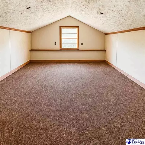 2220 Greenway Loop, Hamer, SC 29547 photo 19