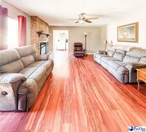 2220 Greenway Loop, Hamer, SC 29547 photo 5