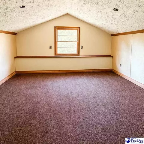 2220 Greenway Loop, Hamer, SC 29547 photo 18