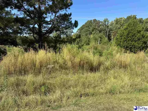 622 Willowtree Rd, Darlington, SC 29540 photo 2