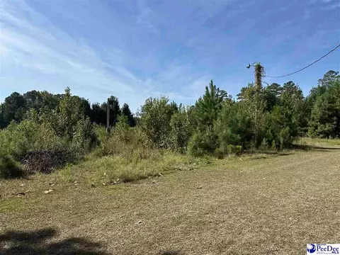 622 Willowtree Rd, Darlington, SC 29540 photo 1