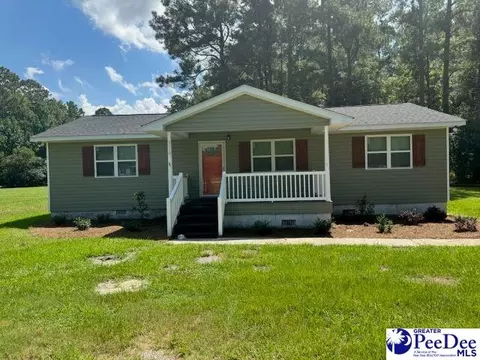 3110 Effingham Hwy, Effingham, SC 29541