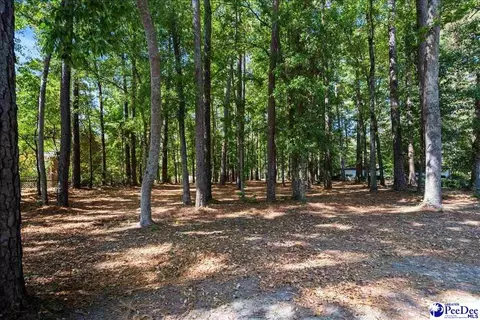tbd Cypress Bend Rd, Florence, SC 29506 photo 2