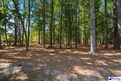 tbd Cypress Bend Rd, Florence, SC 29506