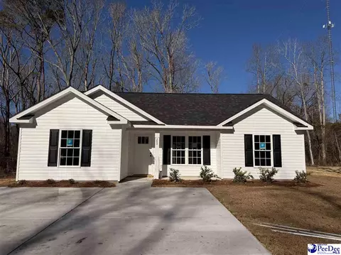 289 Pineneedle Cir, Johnsonville, SC 29555