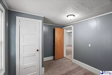 63 Thomas St, Patrick, SC 29584 photo 19