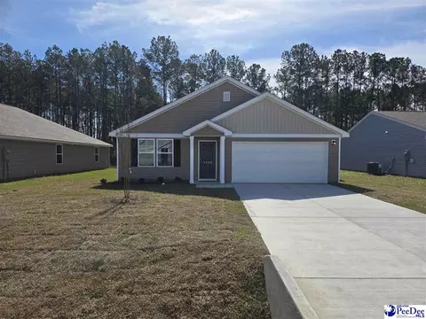 1983 E Paces Trl, Darlington, SC 29532 photo 1