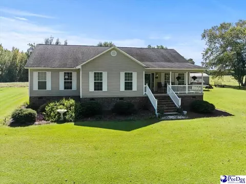 4732 Armfield Rd, Effingham, SC 29541