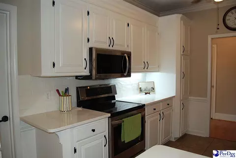 323 Alligator Rd, Effingham, SC 29541 photo 14