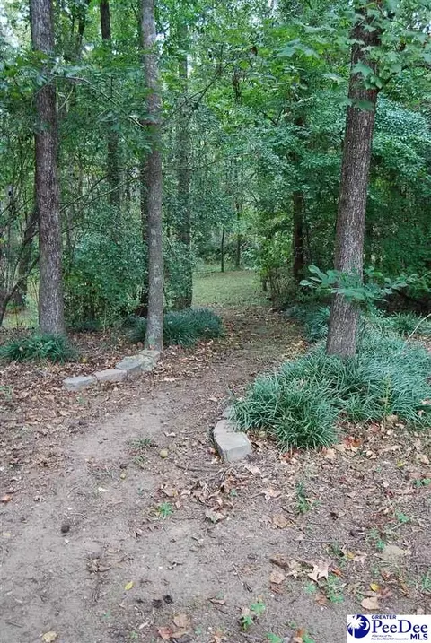 323 Alligator Rd, Effingham, SC 29541 photo 55