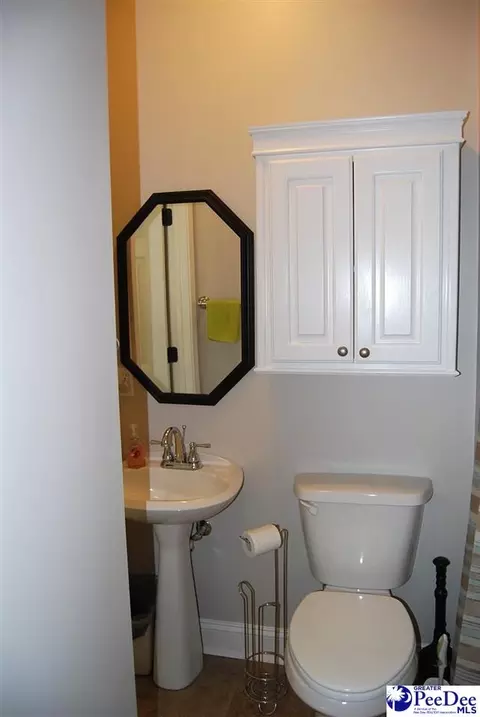 323 Alligator Rd, Effingham, SC 29541 photo 41