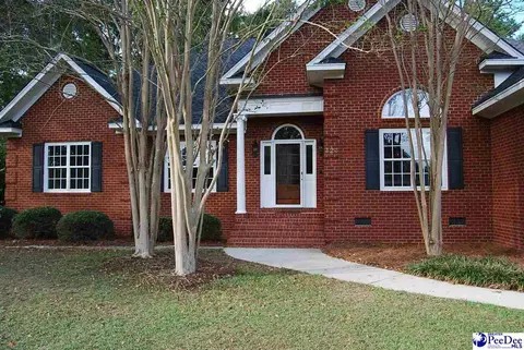323 Alligator Rd, Effingham, SC 29541 photo 1