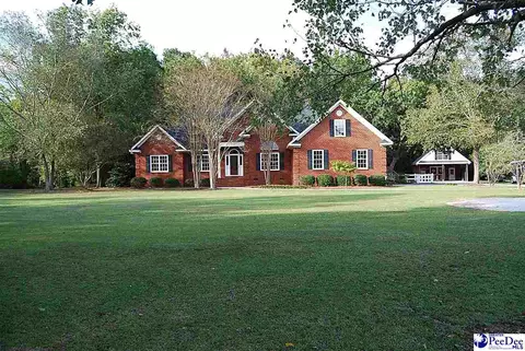 323 Alligator Rd, Effingham, SC 29541 photo 2