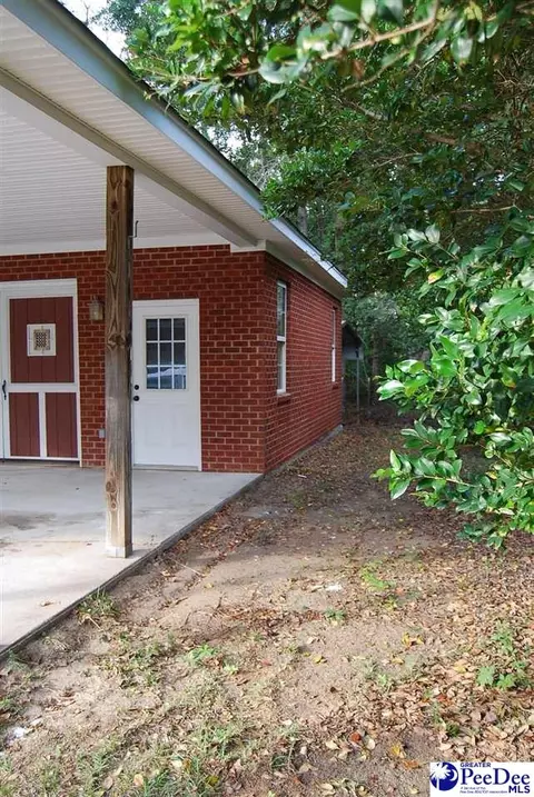 323 Alligator Rd, Effingham, SC 29541 photo 47