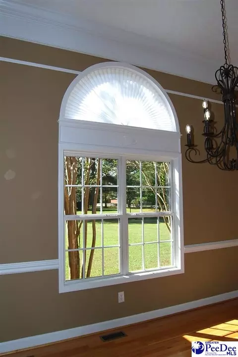 323 Alligator Rd, Effingham, SC 29541 photo 6
