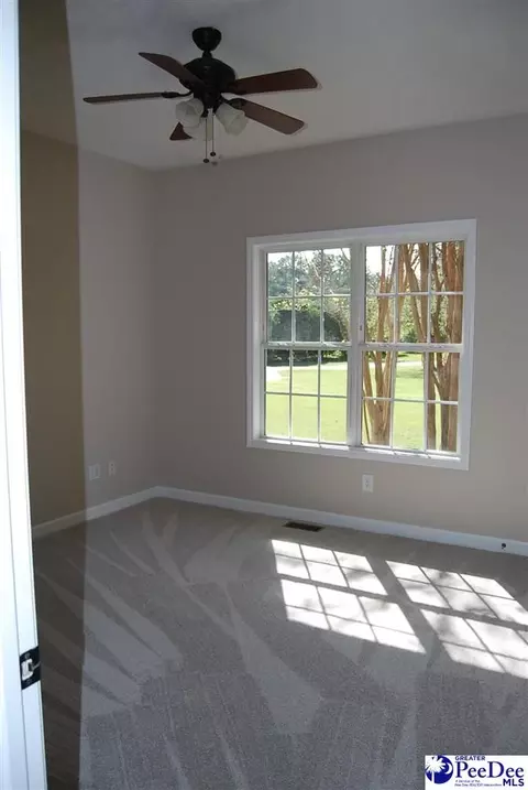 323 Alligator Rd, Effingham, SC 29541 photo 34