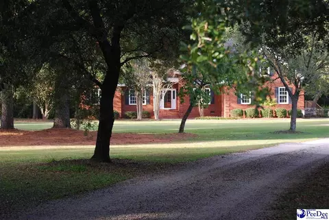 323 Alligator Rd, Effingham, SC 29541 photo 62