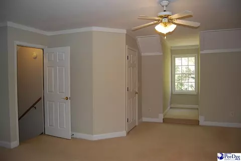 323 Alligator Rd, Effingham, SC 29541 photo 31