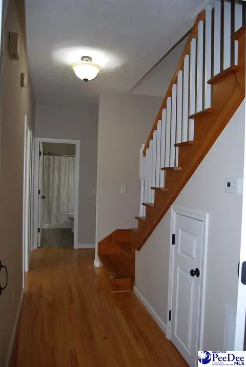 323 Alligator Rd, Effingham, SC 29541 photo 22
